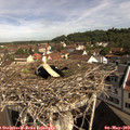 10_00-nest.jpg