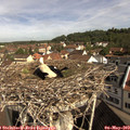 10_05-nest.jpg