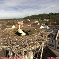 10_10-nest.jpg