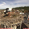 10_25-nest.jpg