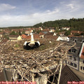 10_50-nest.jpg
