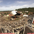 11_10-nest.jpg