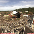 11_15-nest.jpg