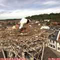 11_40-nest.jpg