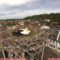 11_55-nest.jpg