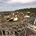 12_10-nest.jpg