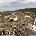 12_25-nest.jpg