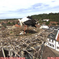 12_35-nest.jpg