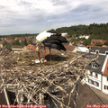 12_40-nest.jpg