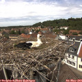 13_35-nest.jpg