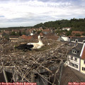 13_40-nest.jpg