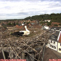 13_45-nest.jpg