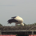 14_00-mast.jpg
