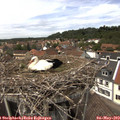 14_05-nest.jpg