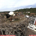 14_40-nest.jpg