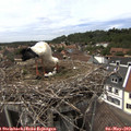 14_45-nest.jpg