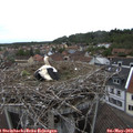 16_45-nest.jpg