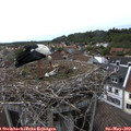 17_40-nest.jpg