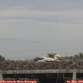 18_05-mast.jpg