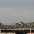 18_20-mast.jpg