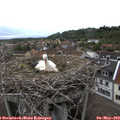 18_45-nest.jpg
