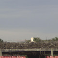 19_05-mast.jpg