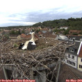 19_40-nest.jpg