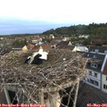 06_00-nest.jpg