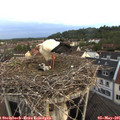 06_05-nest.jpg