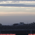06_10-mast.jpg