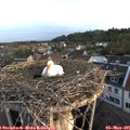 06_20-nest.jpg