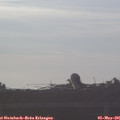 06_40-mast.jpg