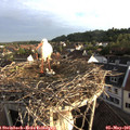 06_50-nest.jpg