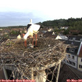 06_55-nest.jpg