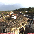 07_00-nest.jpg