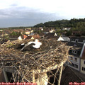 07_05-nest.jpg