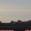 07_15-mast.jpg