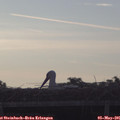 07_25-mast.jpg