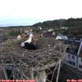 07_25-nest.jpg