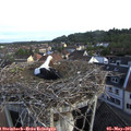 07_35-nest.jpg