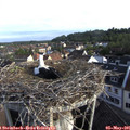 07_40-nest.jpg