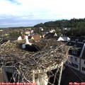 07_45-nest.jpg