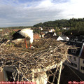 08_00-nest.jpg