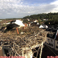 08_15-nest.jpg