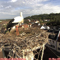 08_40-nest.jpg
