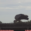09_05-mast.jpg