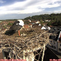 09_10-nest.jpg