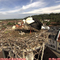 09_40-nest.jpg
