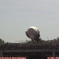 10_15-mast.jpg