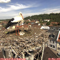11_10-nest.jpg